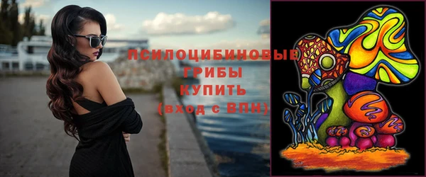 прущая мука Строитель