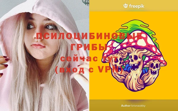 бошки Ступино