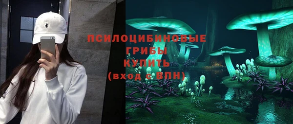 бошки Ступино