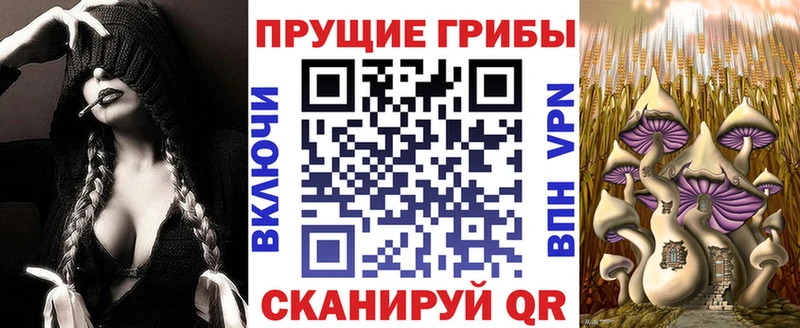 Псилоцибиновые грибы MAGIC MUSHROOMS Плёс