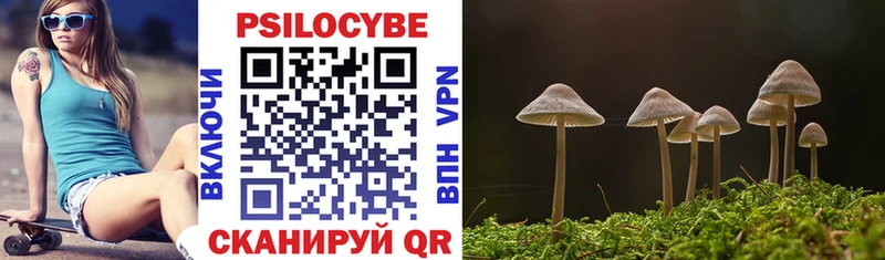 Купить  Плёс  Псилоцибиновые грибы Psilocybine cubensis 